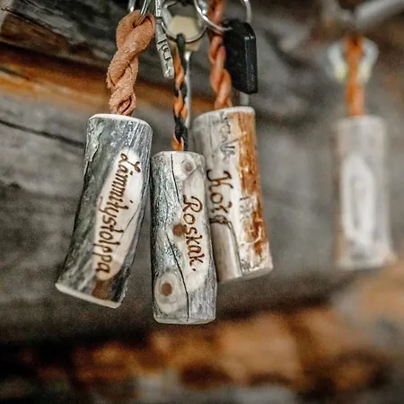 Rukanlumous 3 By Interhome *